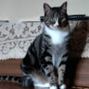 Meet your Posher, Naomi